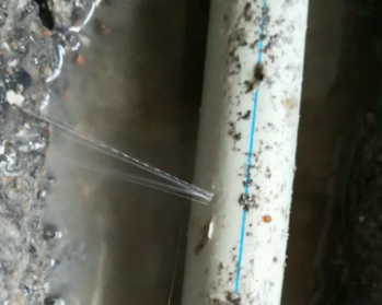 达尔罕茂明卫生间测漏水多少钱